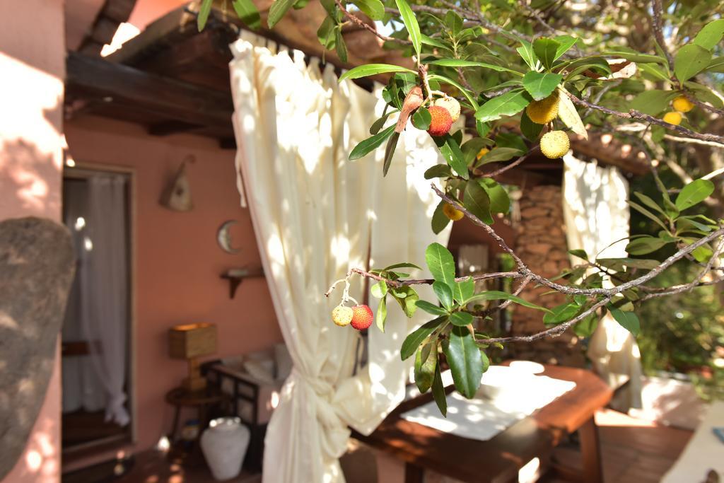 Bed & Breakfast Yin & Yang San Pantaleo Extérieur photo